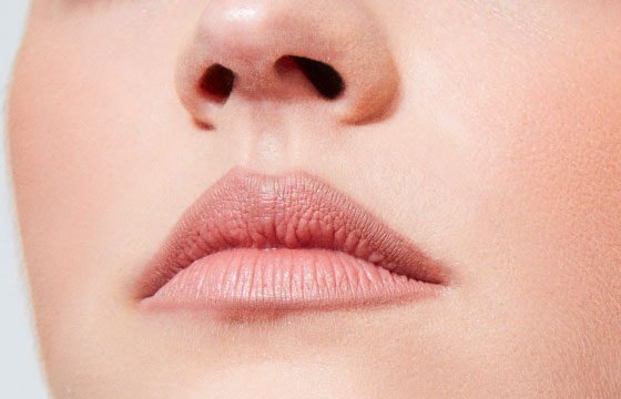 Maquillage utilisés pour les lèvres du look globe trotteuse élégante : l'esquisse de la bouche marron délicat, la laque mate jacqueline