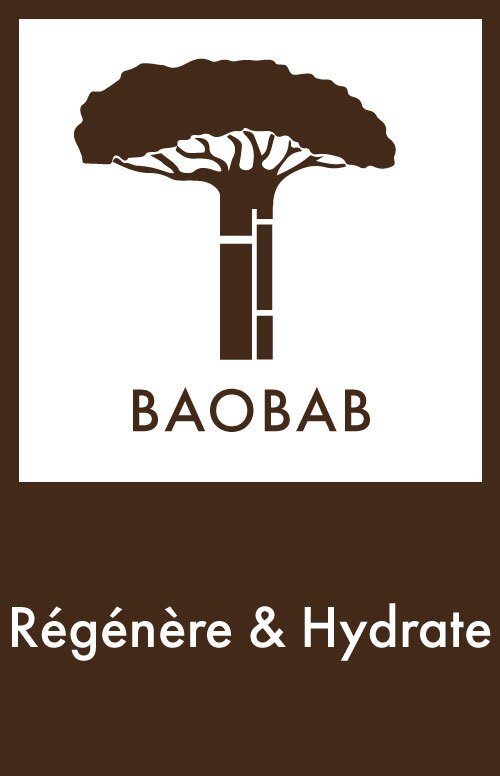 Graine de Baobab